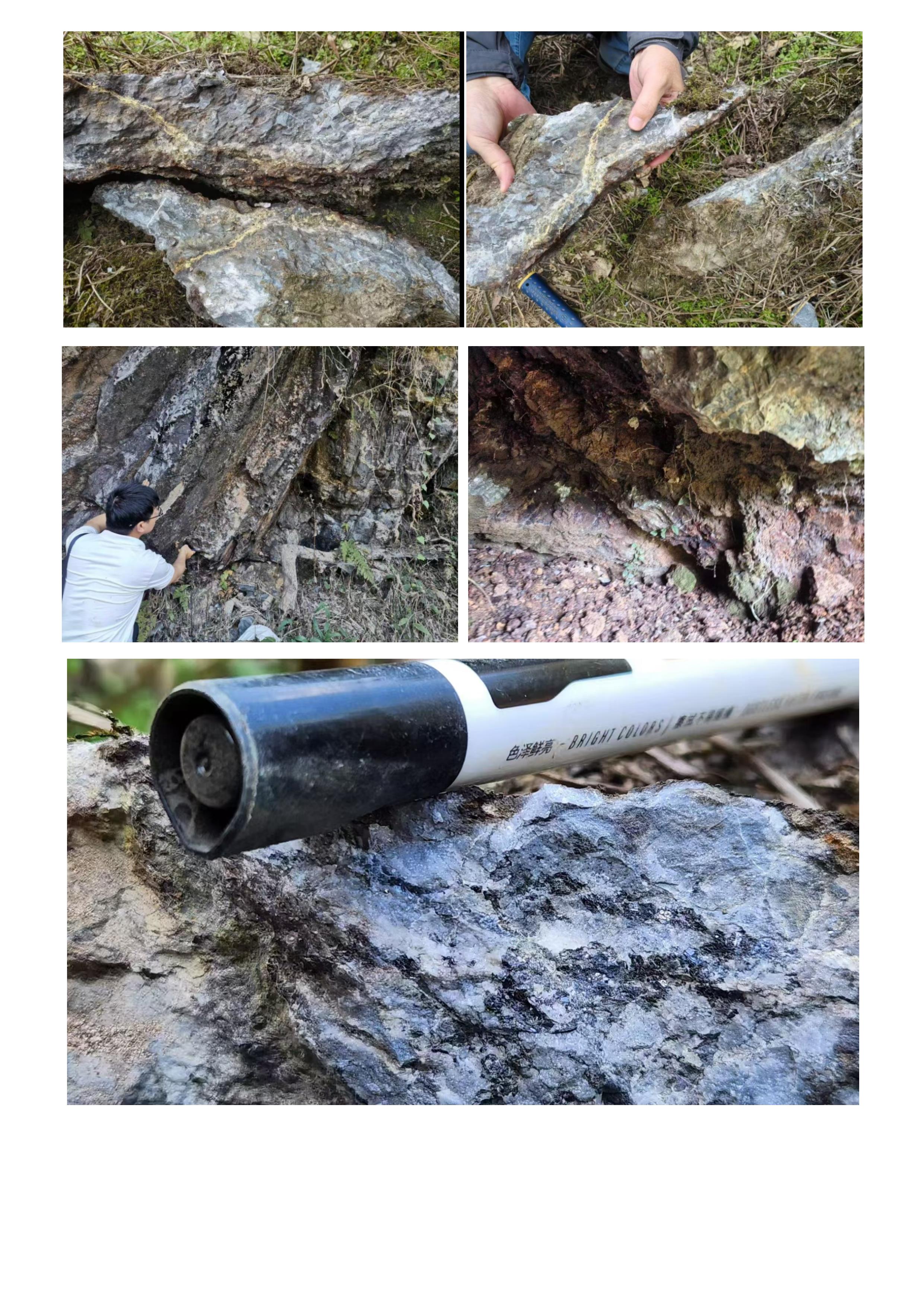 星店野外调查_1